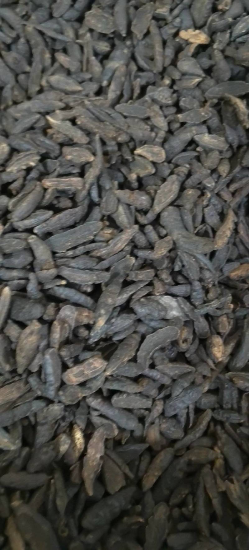 醋制香附片炒香附片万信药业只做保真药材