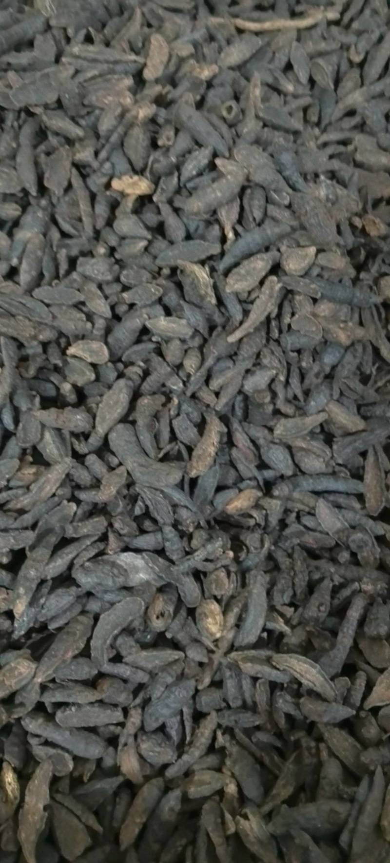 醋制香附片炒香附片万信药业只做保真药材