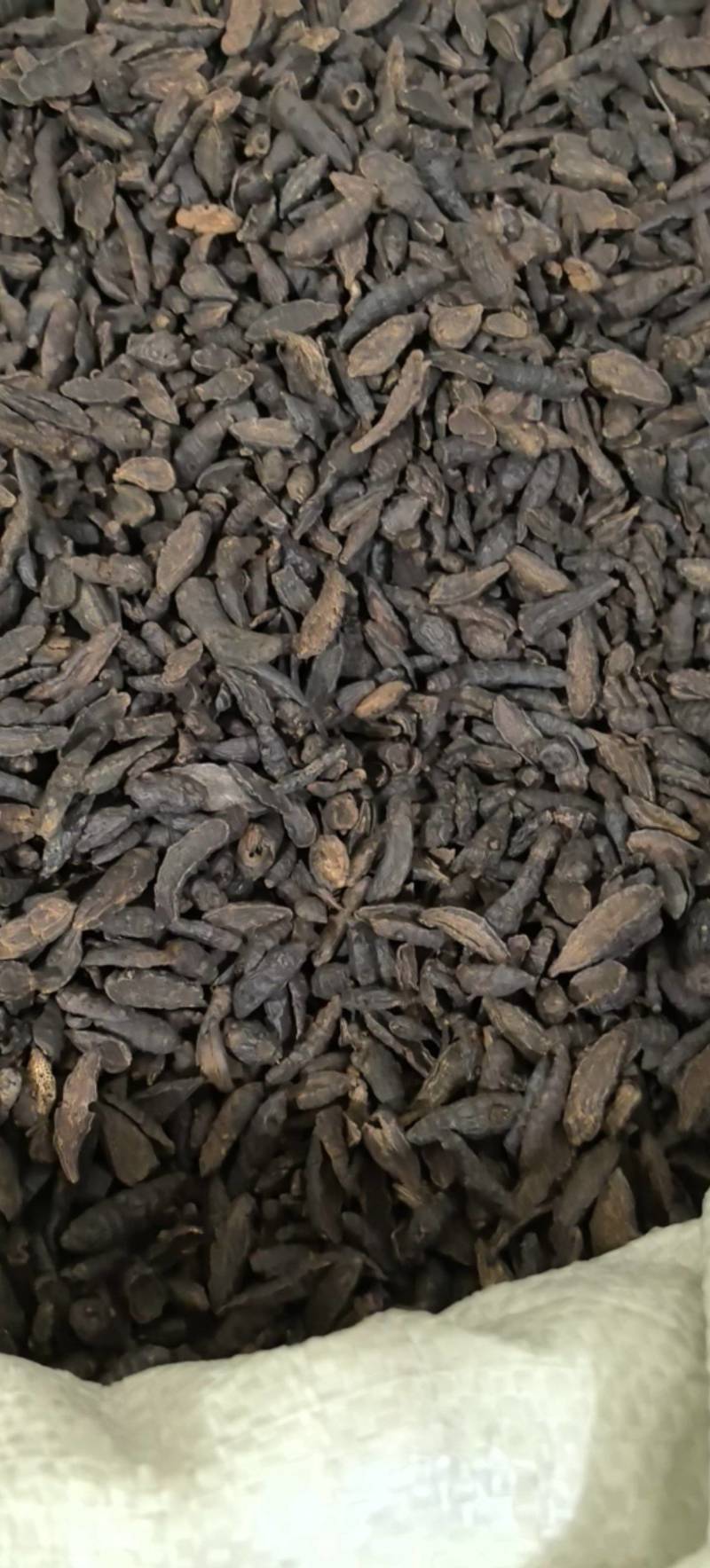 醋制香附片炒香附片万信药业只做保真药材