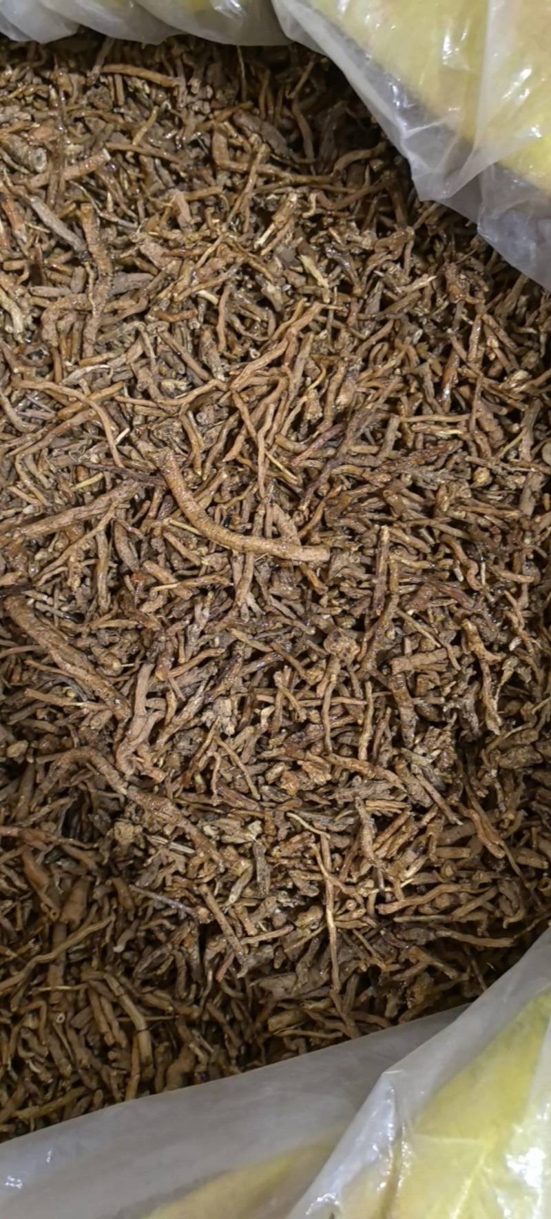 制远志密制远志统货万信药业只做保真药材