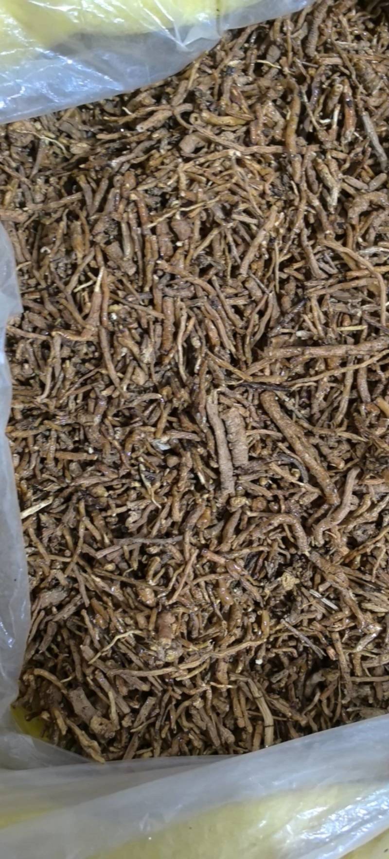 制远志密制远志统货万信药业只做保真药材