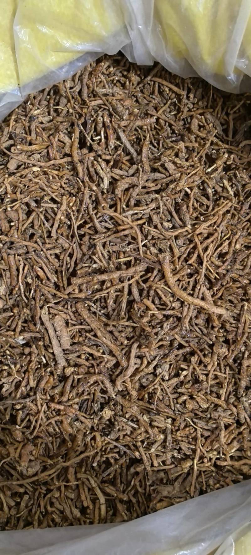 制远志密制远志统货万信药业只做保真药材