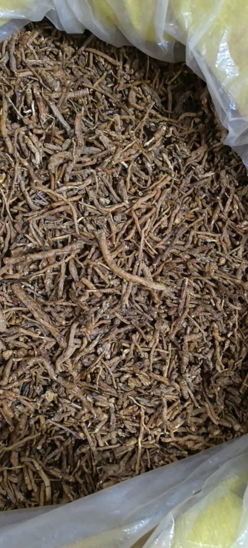 制远志密制远志统货万信药业只做保真药材