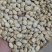 白扁豆正品四川货地道药材万信药业只做保真药材
