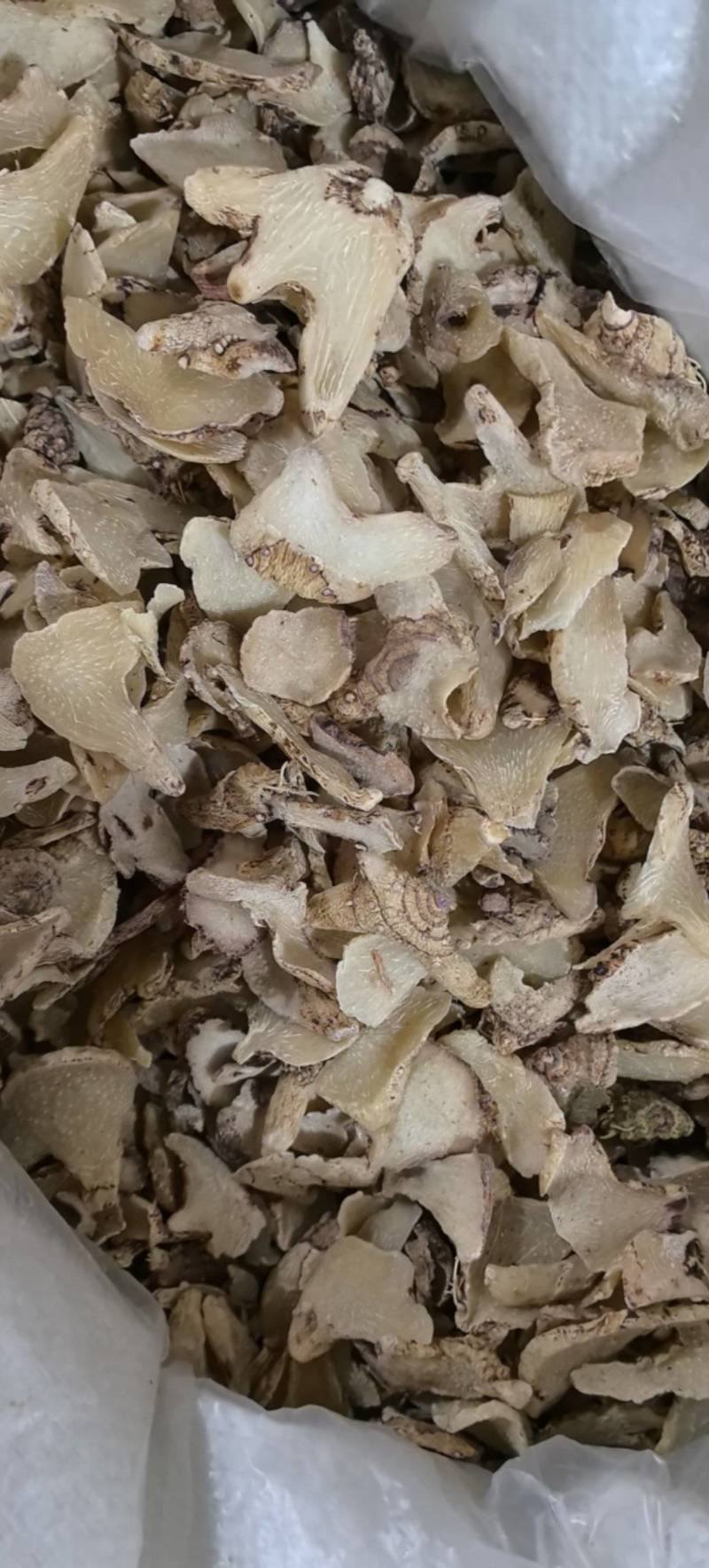 三叉白芨片云南产今年新货万信药业只做保真药材