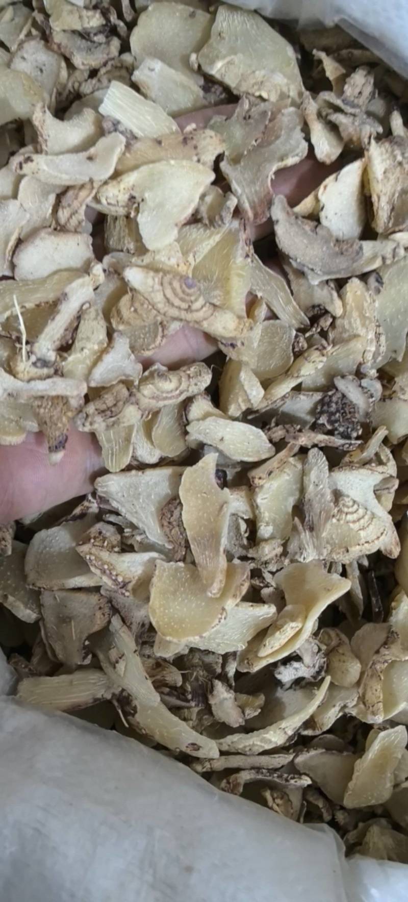 三叉白芨片云南产今年新货万信药业只做保真药材