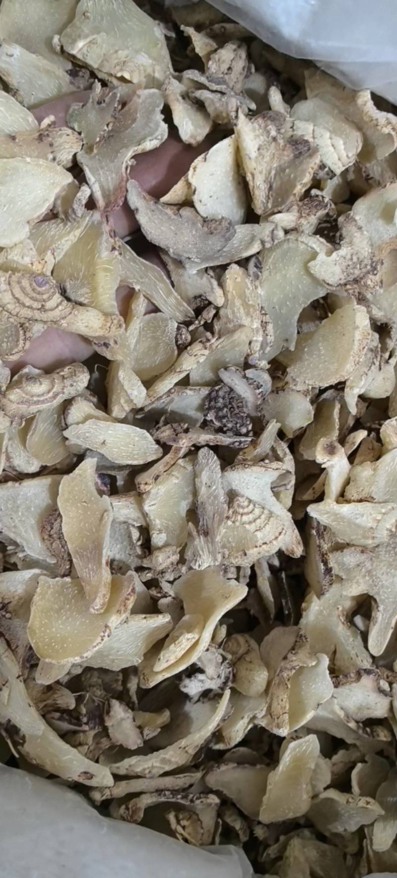 三叉白芨片云南产今年新货万信药业只做保真药材
