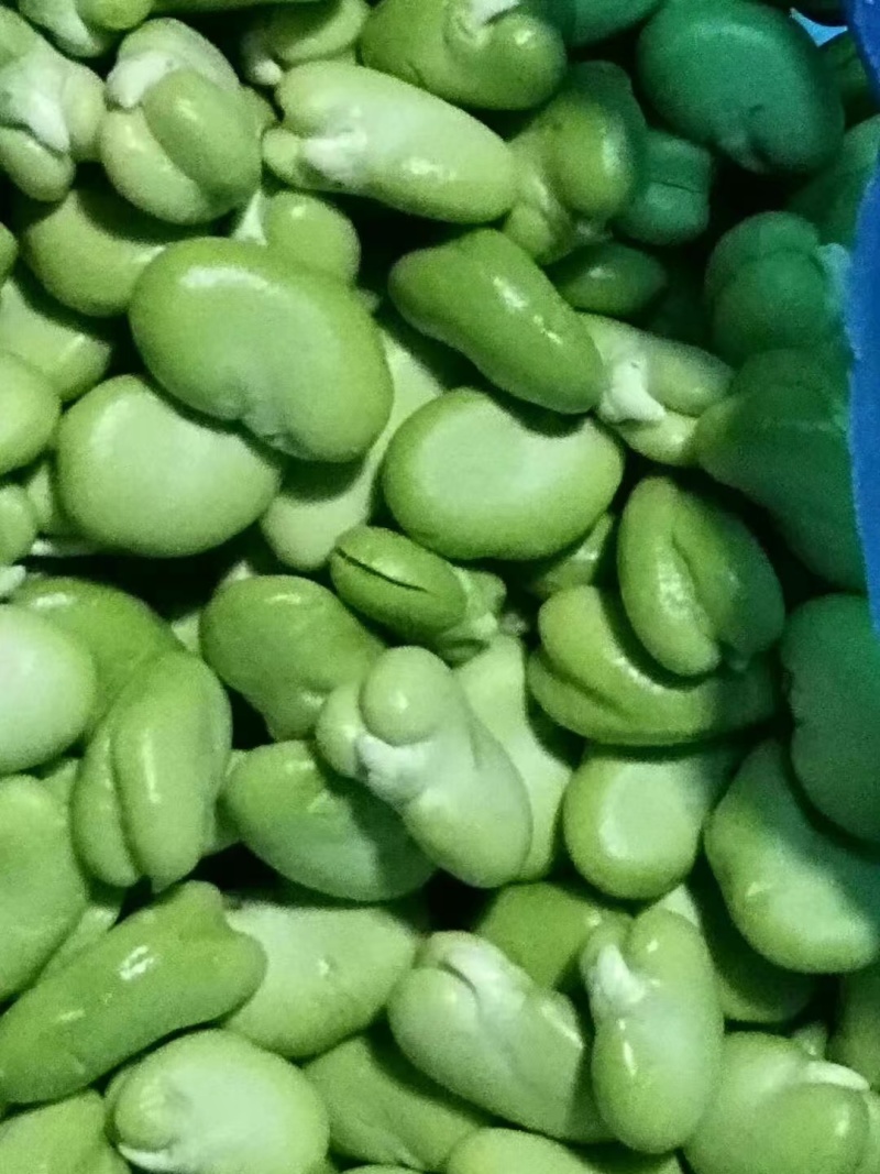 蚕豆米