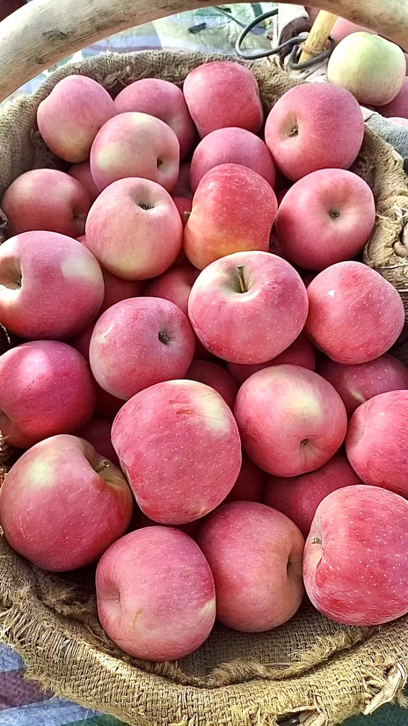 苹果🍎