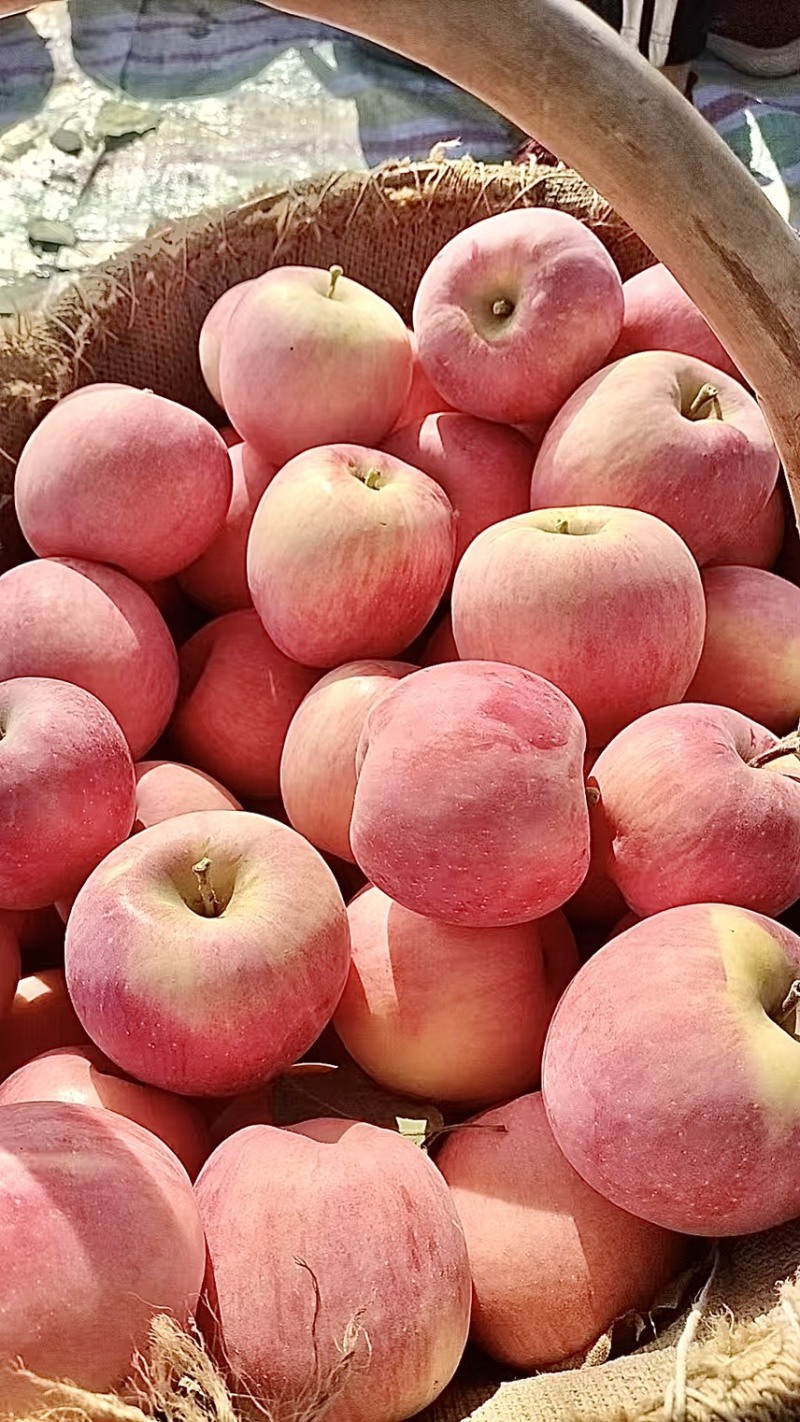 苹果🍎