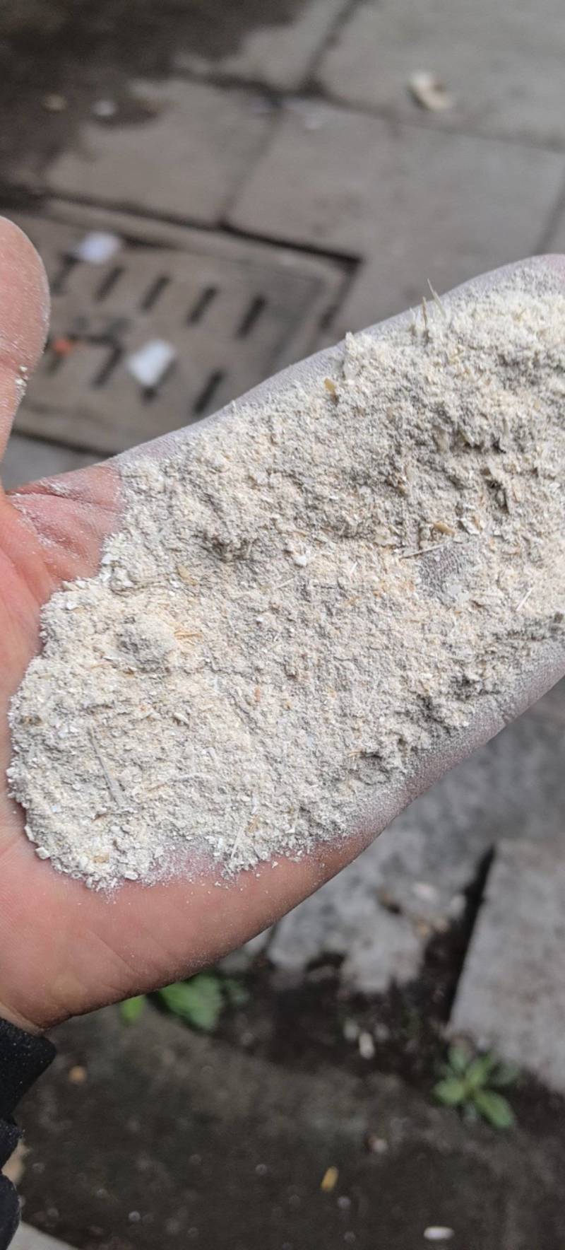 海螵蛸粉末过筛后的的粉粗粉万信药业只做保真药材