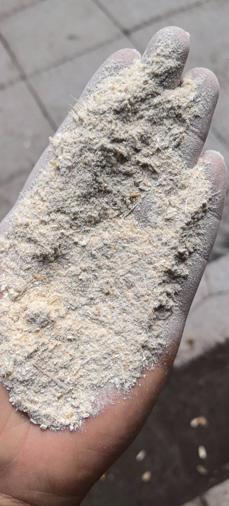 海螵蛸粉末过筛后的的粉粗粉万信药业只做保真药材