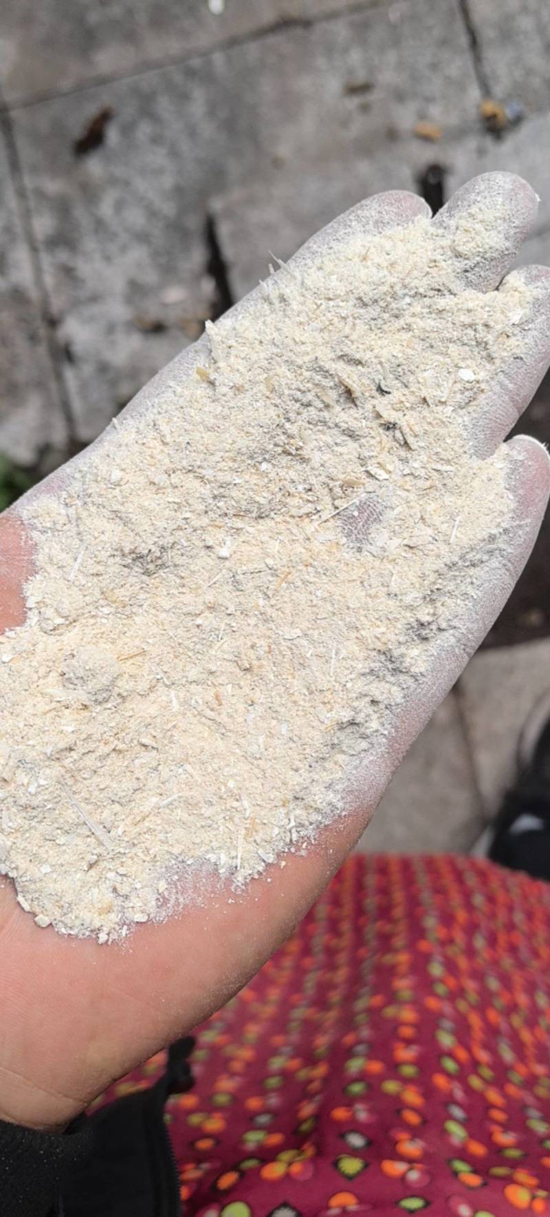 海螵蛸粉末过筛后的的粉粗粉万信药业只做保真药材