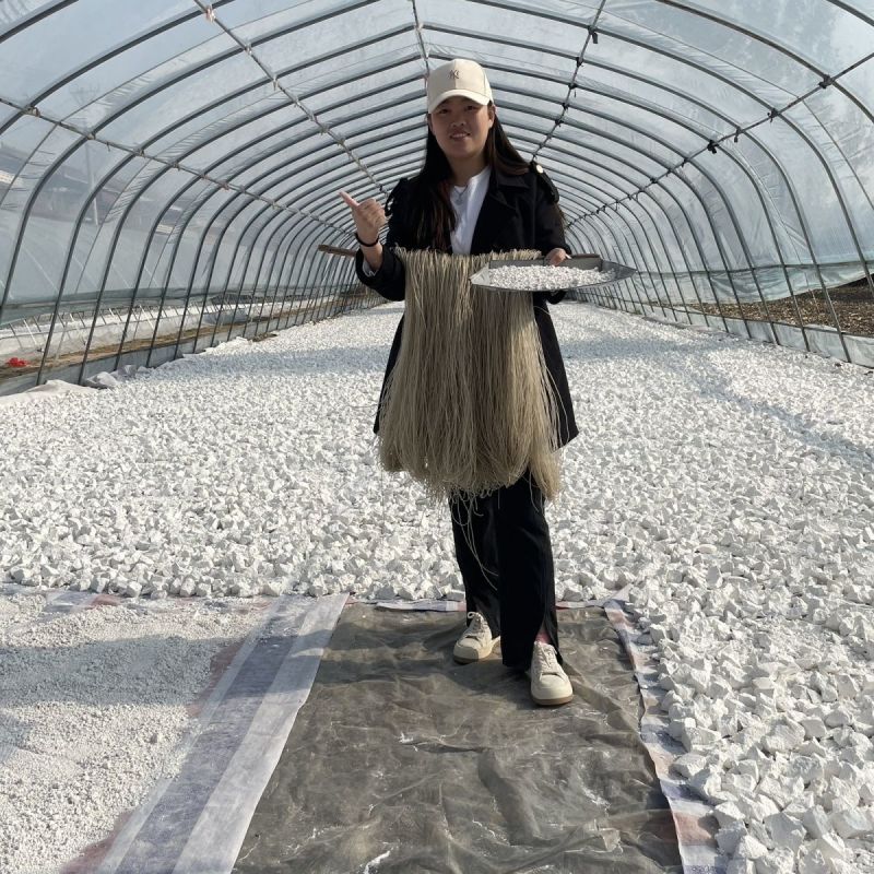 红薯粉红薯淀粉纯手工淀粉大量供应货质量优价格优一手货源