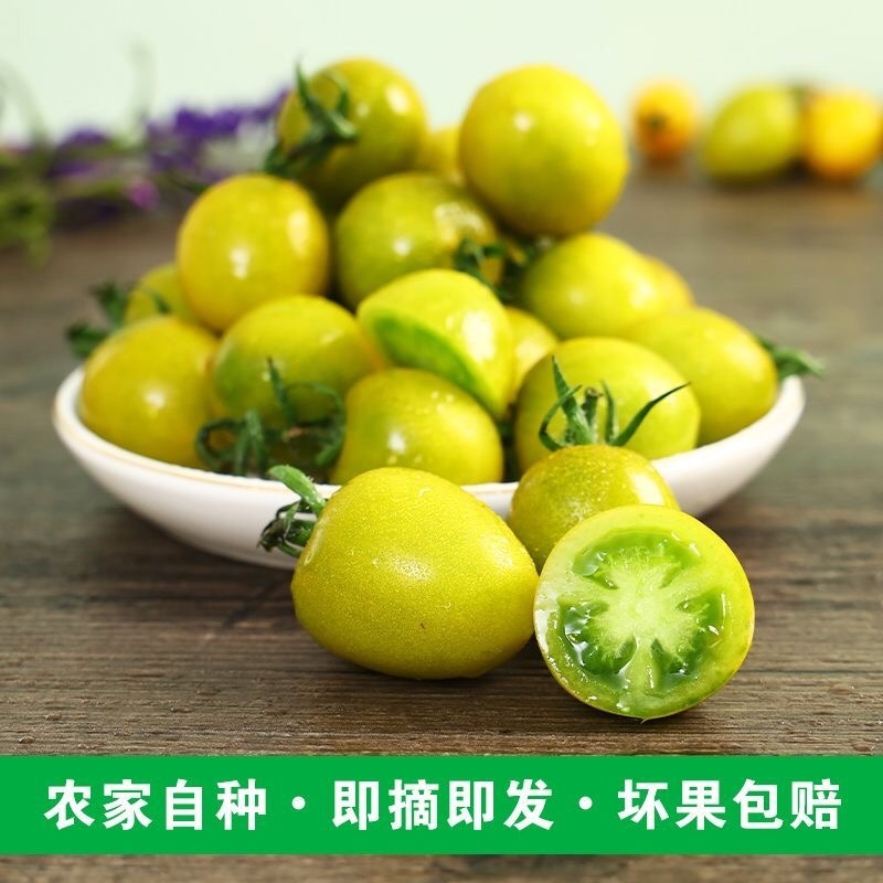 小番茄西红柿。圣女果