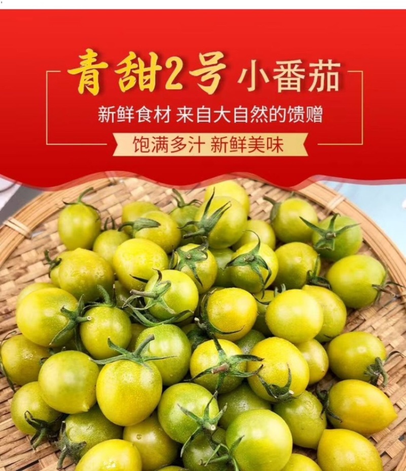 小番茄西红柿。圣女果