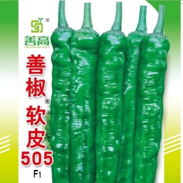 善椒软皮505杂交辣椒种子高产中早熟长羊角型香辣皮薄蔬菜