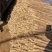 铁棍山药（白红）
