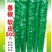 善椒软皮505杂交辣椒种子高产中早熟长羊角型香辣皮薄蔬菜