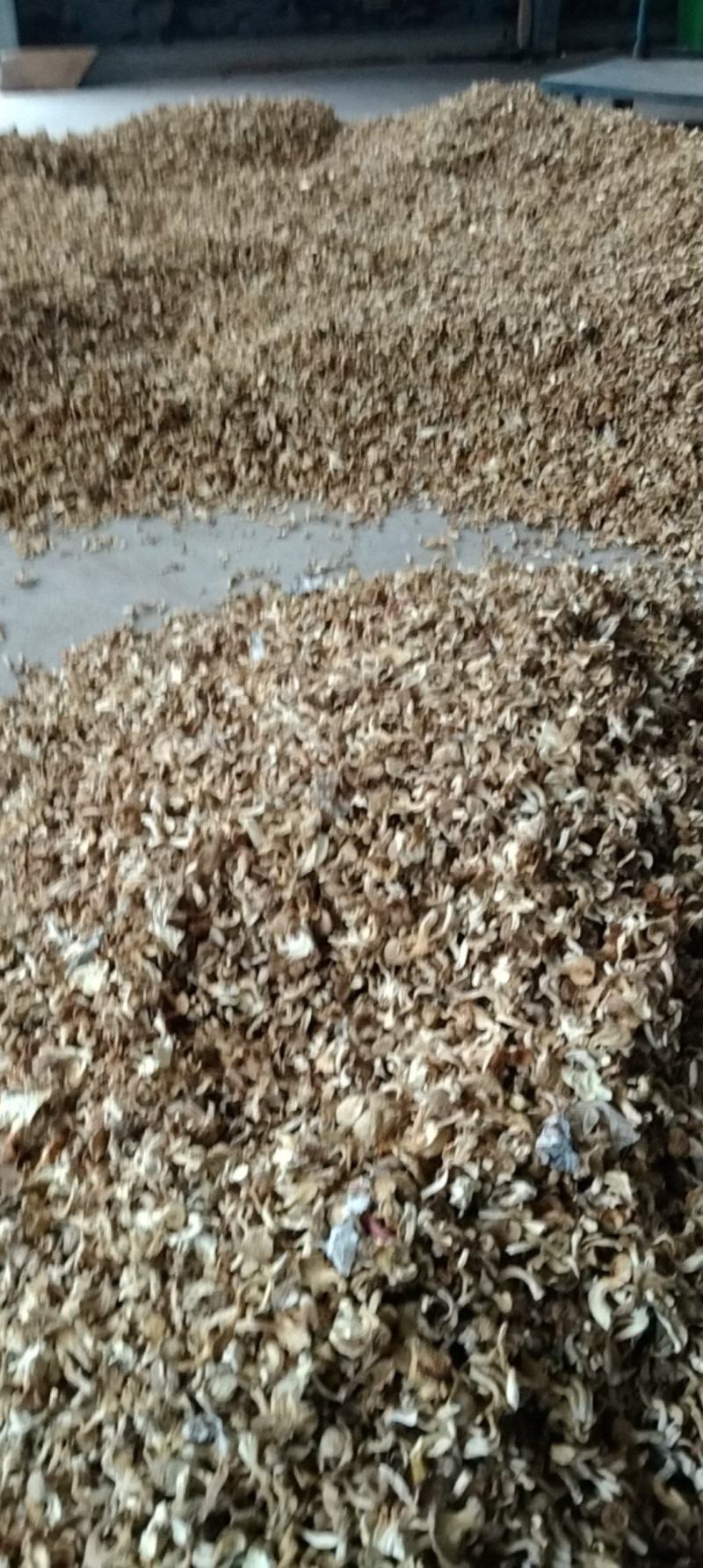 虾米菇小米菇嫩芽菇自产自销全国发货品质保证