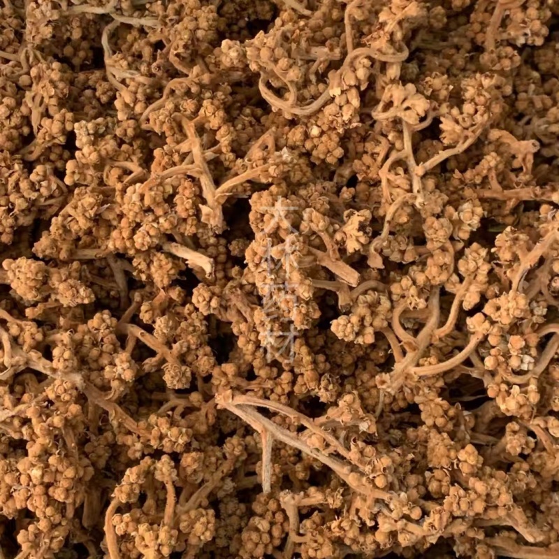 枇杷花【包邮】三斤起发货可批量可零售量大从优