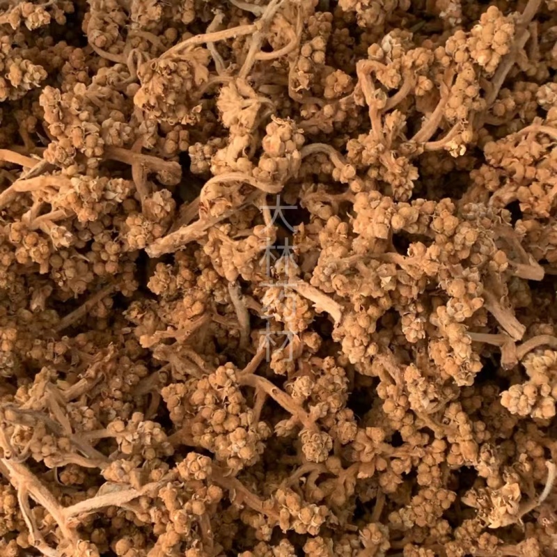 枇杷花【包邮】三斤起发货可批量可零售量大从优