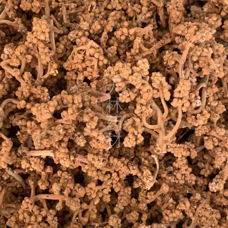 枇杷花【包邮】三斤起发货可批量可零售量大从优