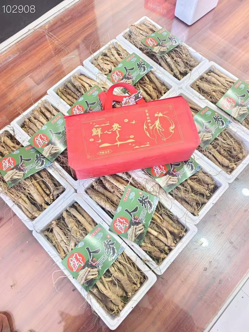 长白山人参