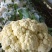 花菜是甘蓝的变种，属于十字花科蔬菜，富含蛋白质、脂肪、碳