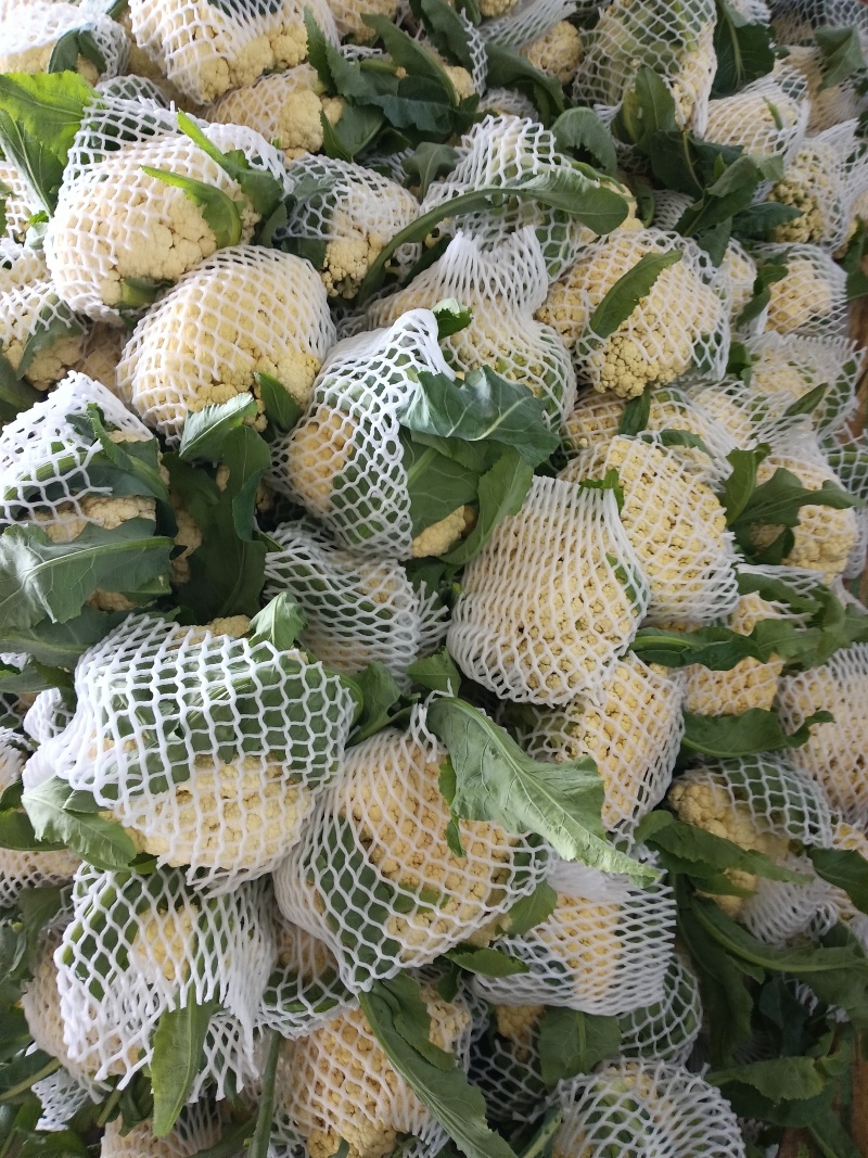 花菜是甘蓝的变种，属于十字花科蔬菜，富含蛋白质、脂肪、碳
