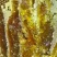 纯伏牛山恐龙遗迹园土蜂蜜，蜂蜜浓度41.5度以上