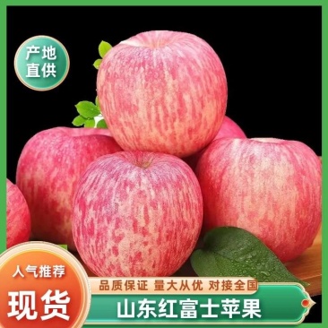 【山东苹果】红富士苹果/临沂苹果/产地货源/全国供应