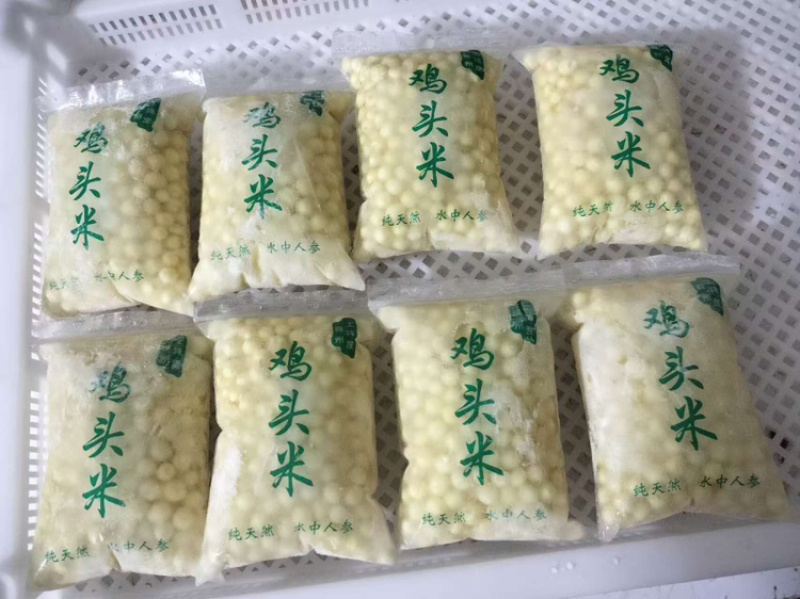 芡实米厂家发货，量大从优，对接全国市场，可视频看货