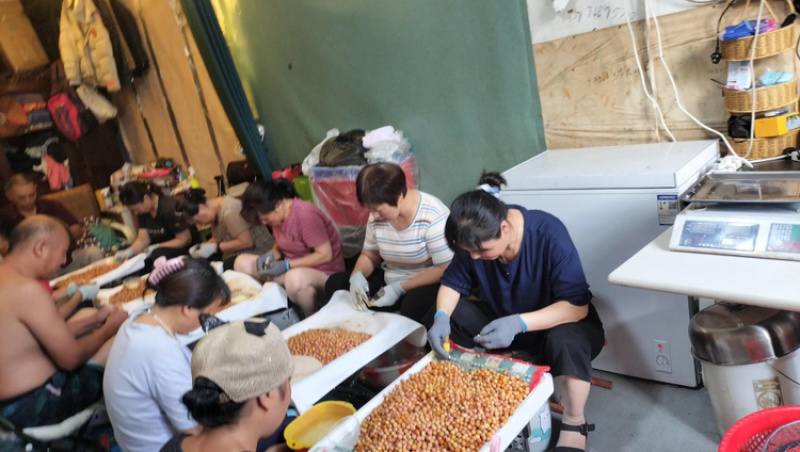 芡实米厂家发货，量大从优，对接全国市场，可视频看货