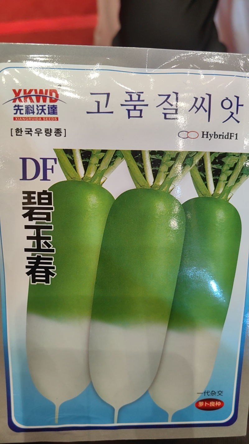 碧玉春萝卜种子春播耐抽苔青萝卜绿皮耐糠心甜脆萝卜蔬菜种子