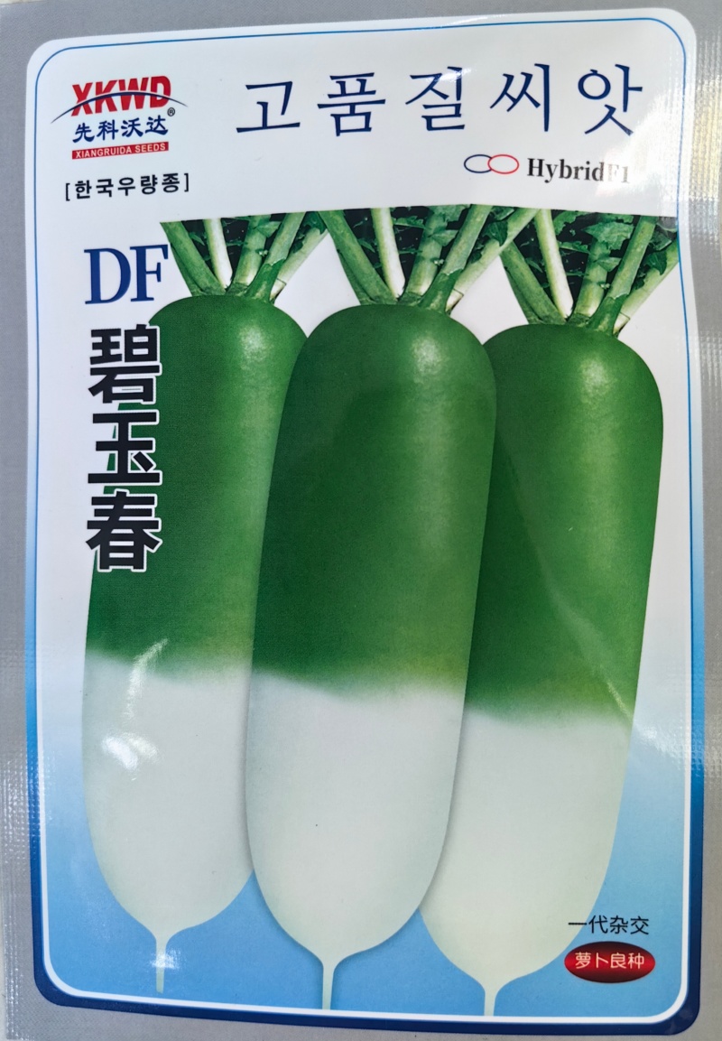 碧玉春萝卜种子春播耐抽苔青萝卜绿皮耐糠心甜脆萝卜蔬菜种子
