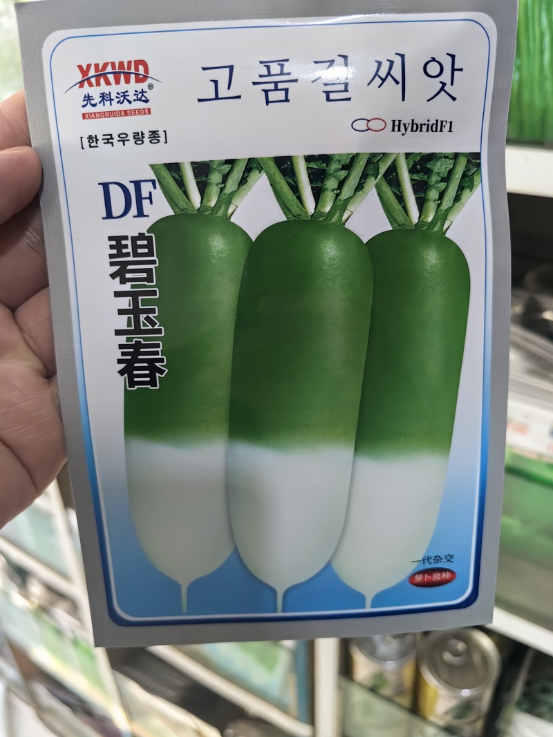 碧玉春萝卜种子春播耐抽苔青萝卜绿皮耐糠心甜脆萝卜蔬菜种子