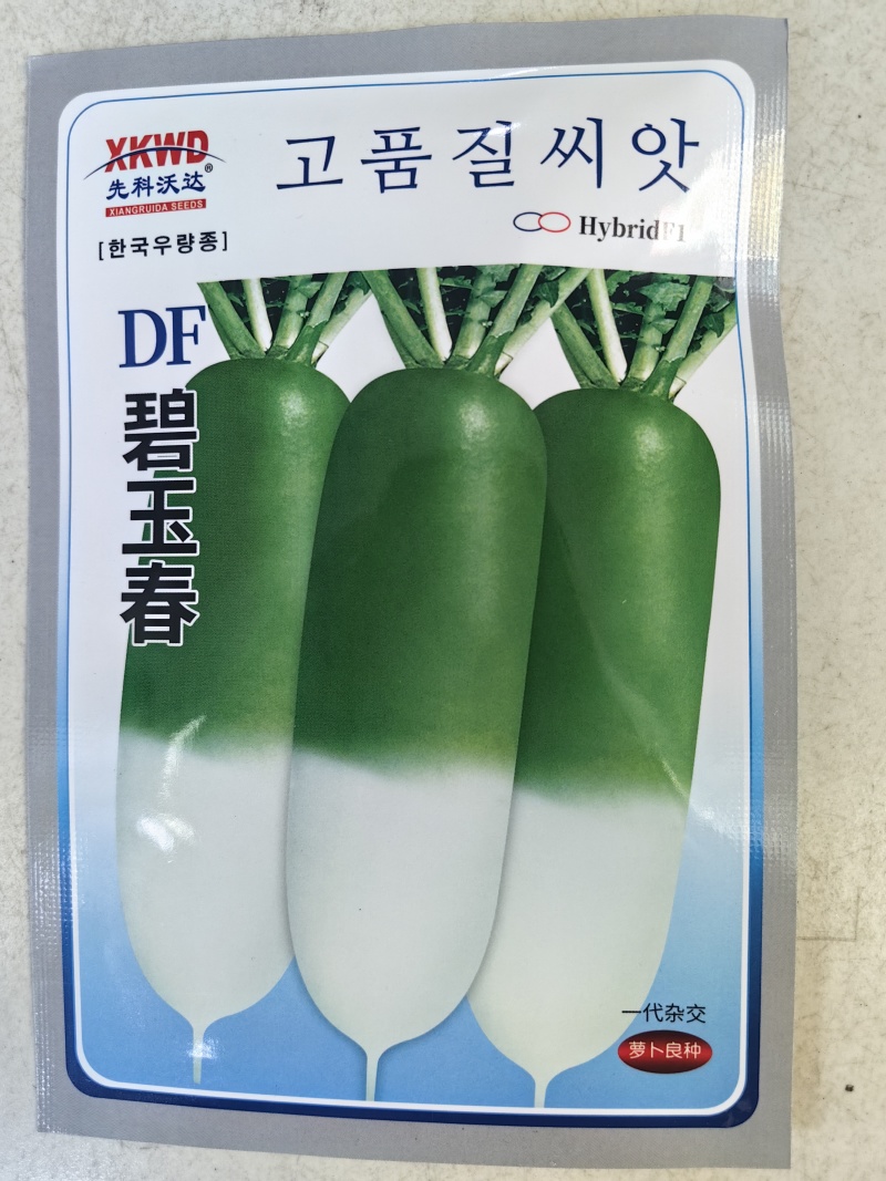 碧玉春萝卜种子春播耐抽苔青萝卜绿皮耐糠心甜脆萝卜蔬菜种子