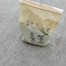 青蒿粉对接养殖场饲料厂兽厂自有加工厂可按照客户要求装袋