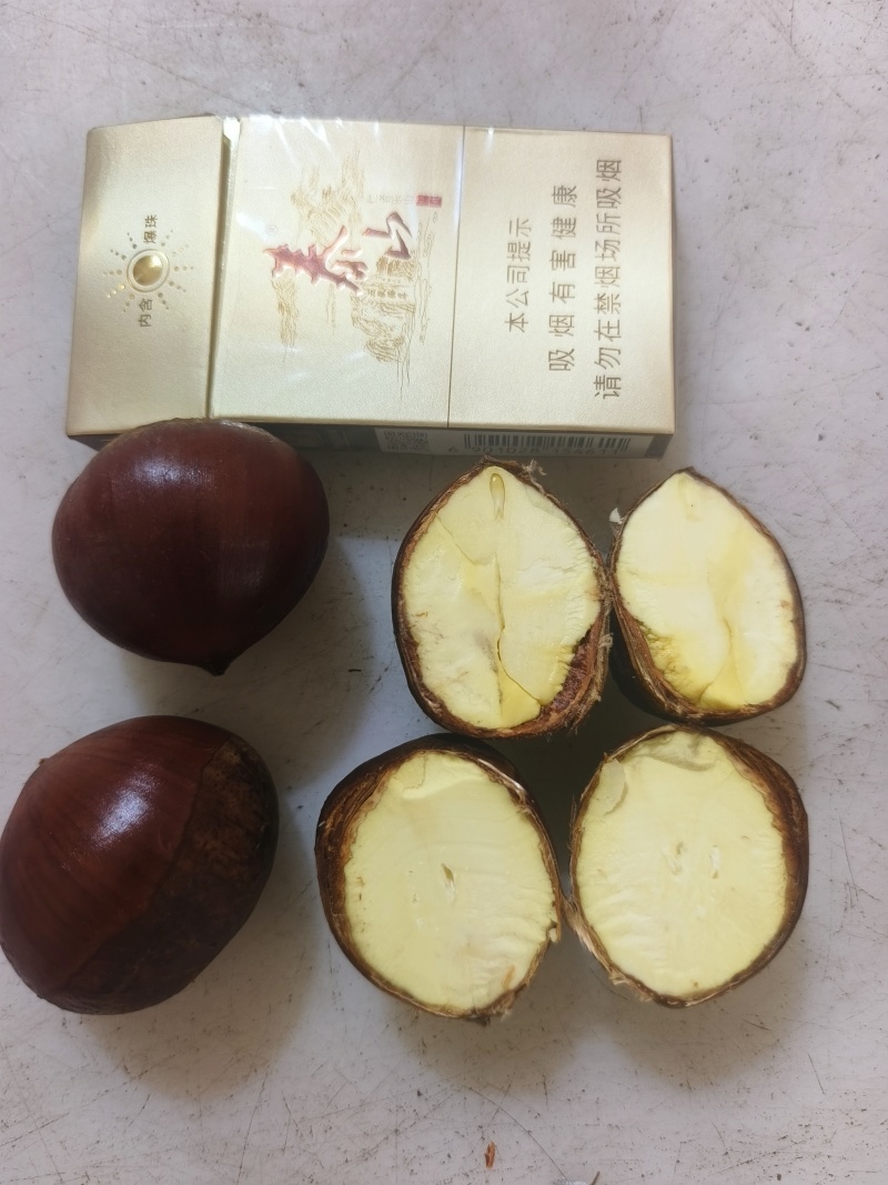山东优质电商板栗/品质好/价格低/全国代发/欢迎来电咨询