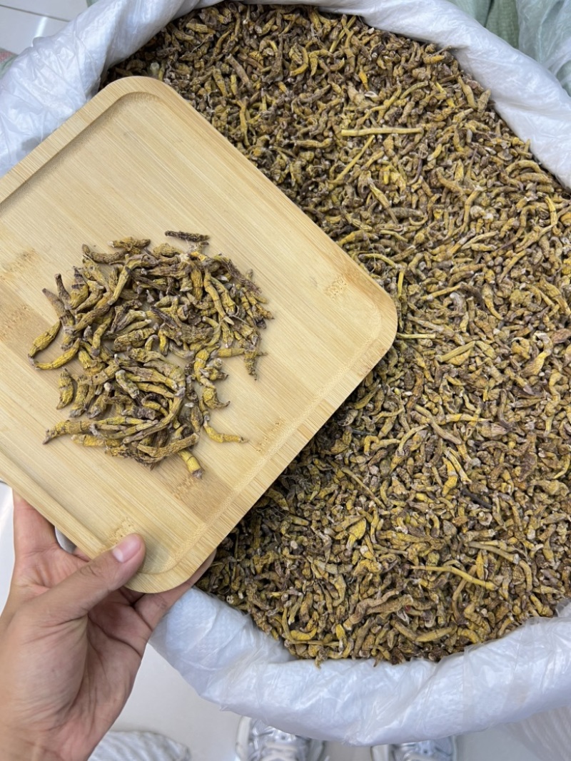 虎牙石斛，价格便宜，量大优惠，需要的老板联系我