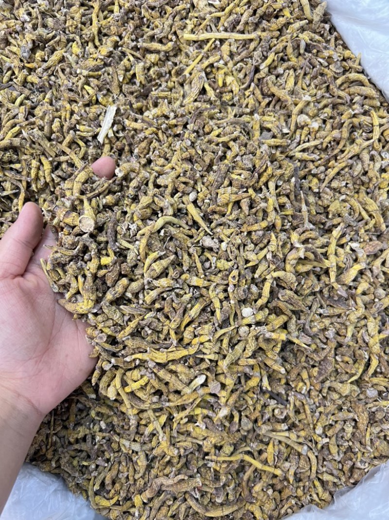 虎牙石斛，价格便宜，量大优惠，需要的老板联系我