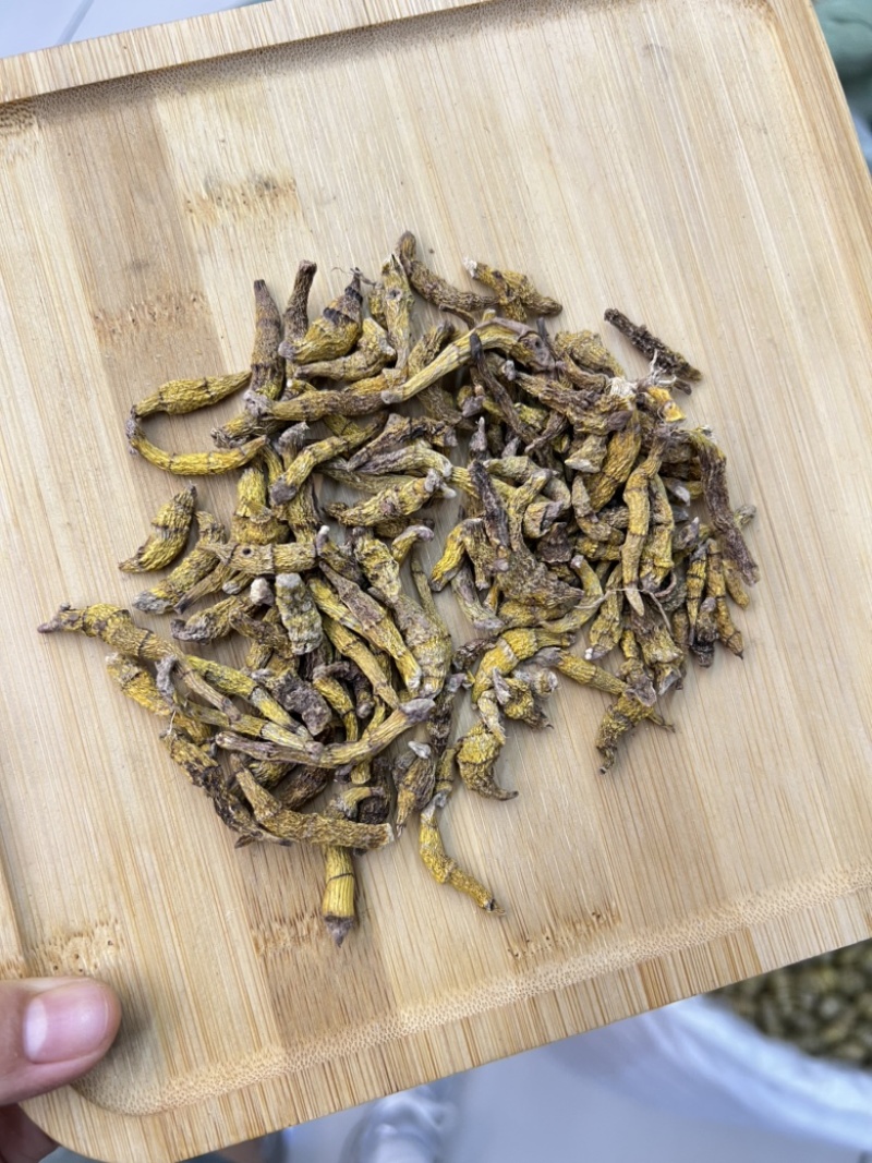 虎牙石斛，价格便宜，量大优惠，需要的老板联系我