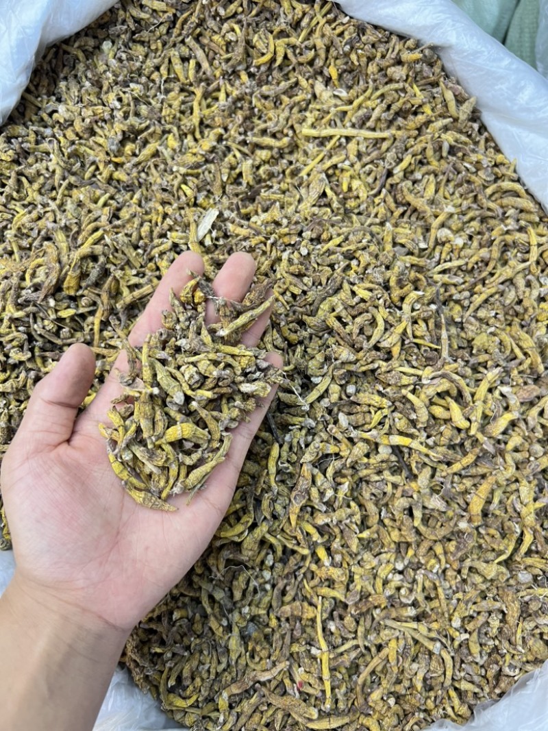 虎牙石斛，价格便宜，量大优惠，需要的老板联系我