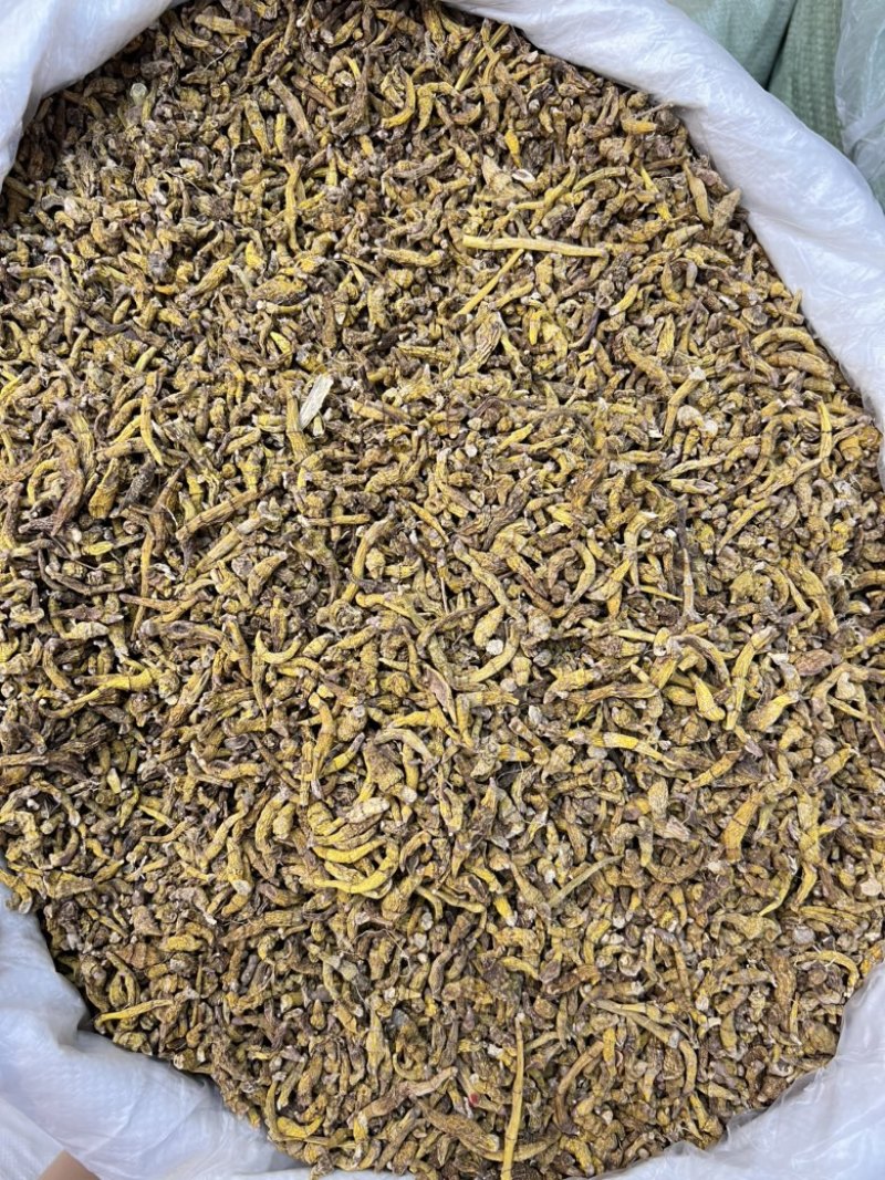 虎牙石斛，价格便宜，量大优惠，需要的老板联系我