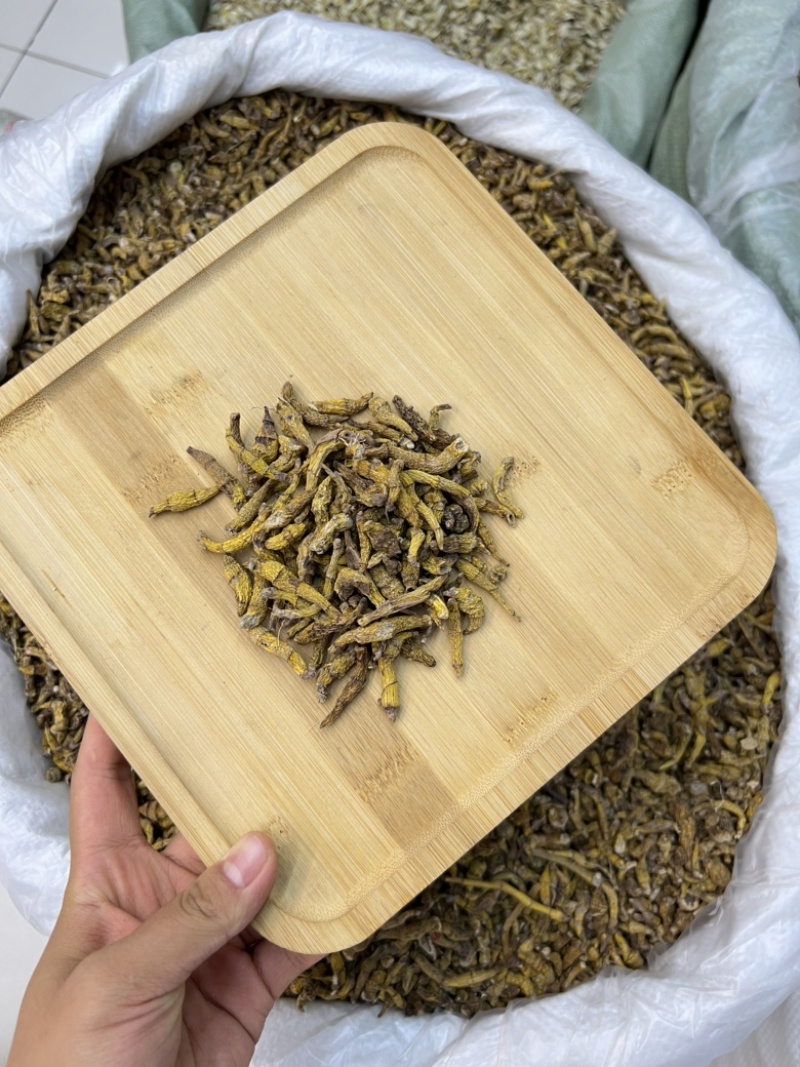 虎牙石斛，价格便宜，量大优惠，需要的老板联系我