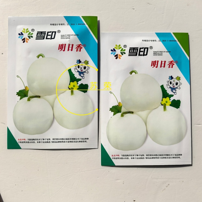 雪印明日香甜瓜种子果梨形糖分高口感佳香味浓白皮白肉香瓜