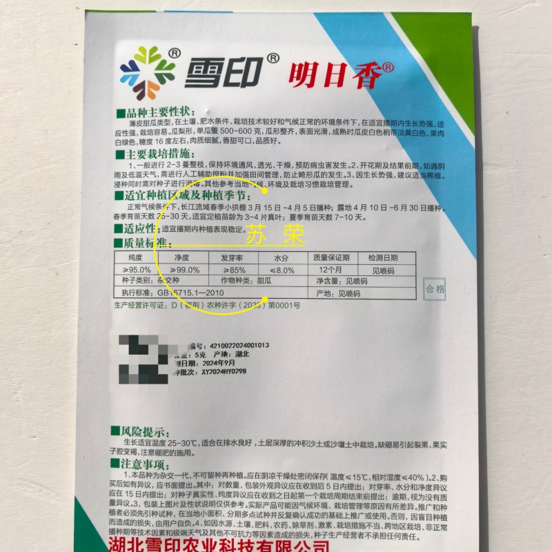 雪印明日香甜瓜种子果梨形糖分高口感佳香味浓白皮白肉香瓜
