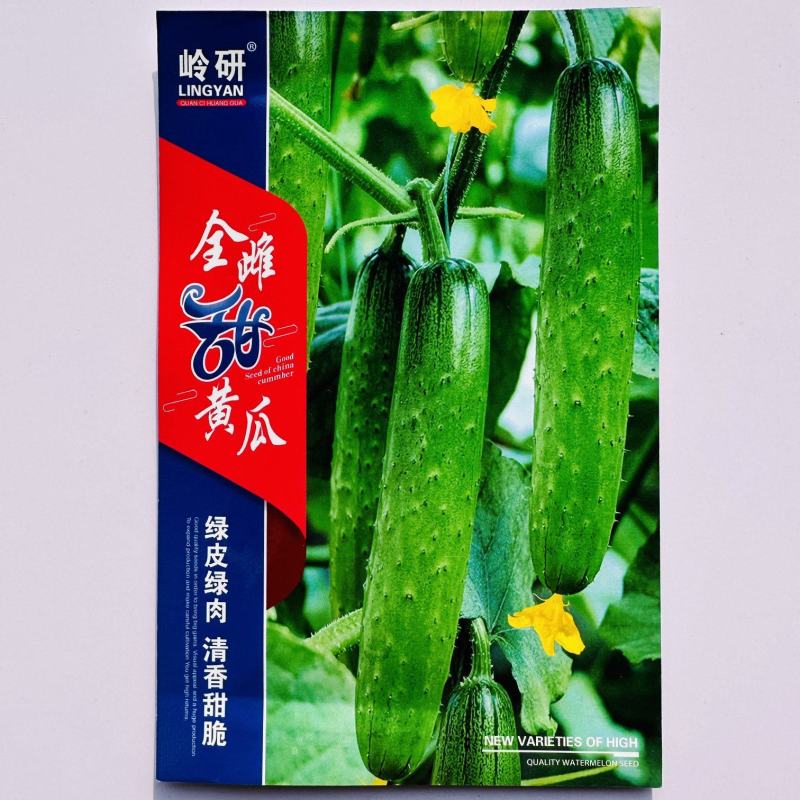 全雌甜黄瓜种子甜脆黄瓜高产种子强雌水果黄瓜种籽早熟节节瓜
