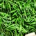 正宗樟树港椒辣椒种子香辣小羊角椒种籽优质薄皮尖椒种子盆栽